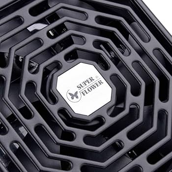 Amazon.com: SUPER FLOWER Leadex Platinum Special Edition